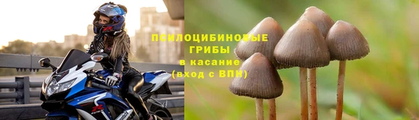 ALPHA-PVP Горнозаводск