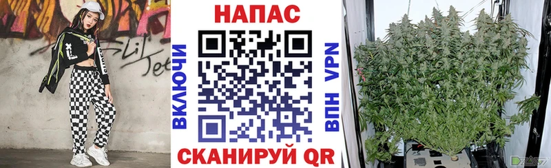 Купить закладки  Сольцы  Бошки Шишки MAZAR 